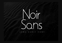 Noir Sans Font Poster 1