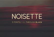 Noisette Font Poster 1