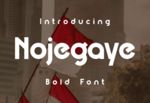 Nojegaye Font Poster 1