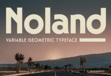 Noland Font Poster 1