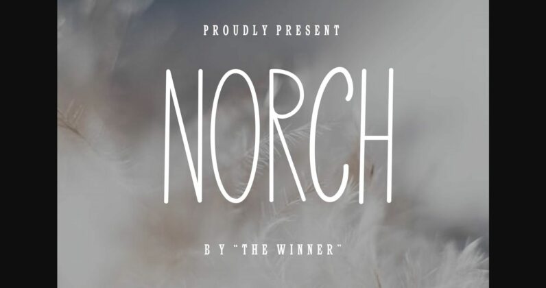 Norch Font Poster 3