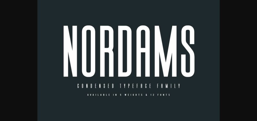 Nordams Font Poster 3