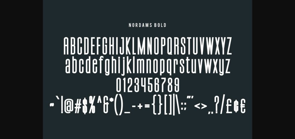 Nordams Font Poster 10