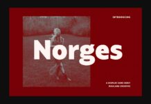 Norges Font Poster 1