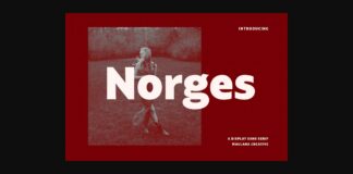 Norges Font Poster 1