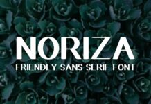 Noriza Font Poster 1