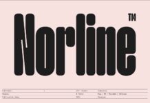 Norline Font Poster 1