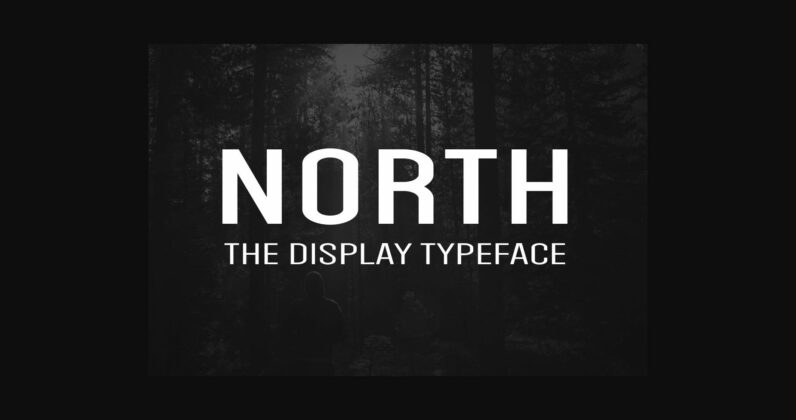 North Font Poster 3
