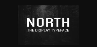 North Font Poster 1