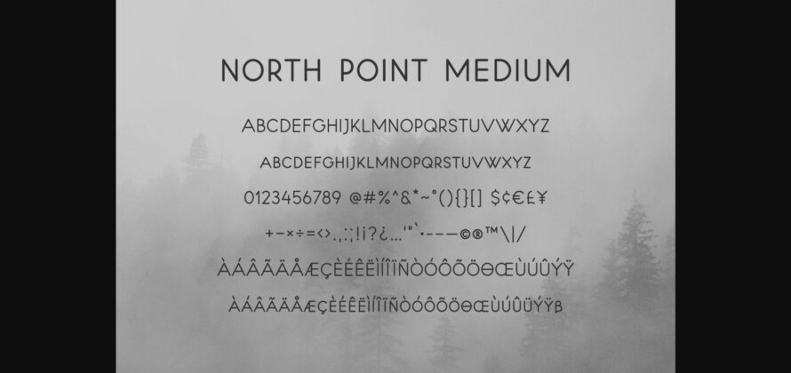 North Point Font Poster 11