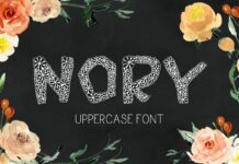 Nory Font Poster 1
