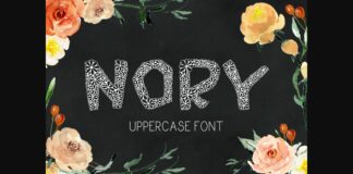 Nory Font Poster 1