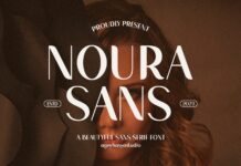 Noura Sans Font Poster 1