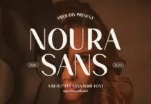Noura Sans Font Noura Sans Font Poster 1