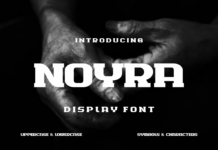 Noyra Font Poster 1