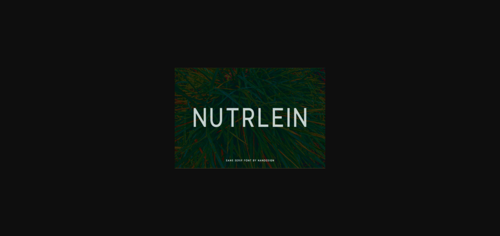 Nutrlein Font Poster 3