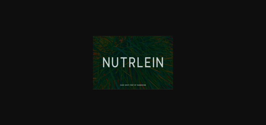 Nutrlein Font Poster 3