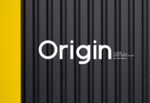 Origin Font Origin Font Poster 1