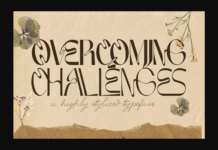 Overcoming Challenges Font Poster 1