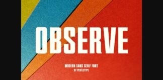 Observe Font Poster 1