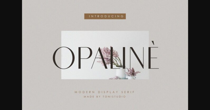 Opaline Font Poster 3