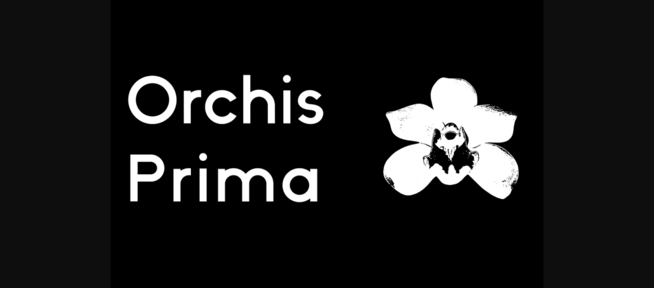 Orchis Prima Font Poster 3