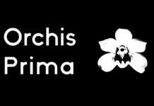 Orchis Prima Font Poster 1
