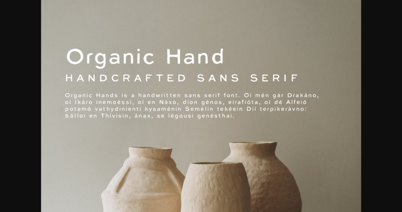Organic Hand Font Poster 3