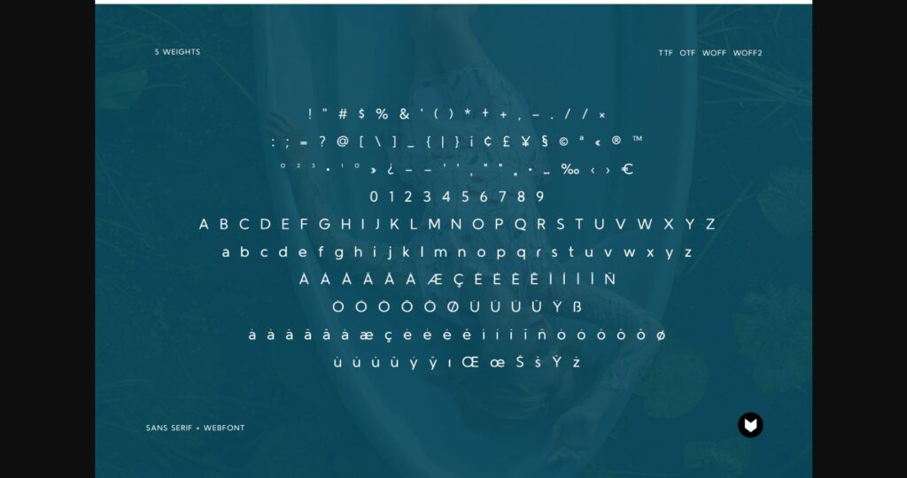 Origo Pro Font Poster 5