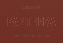 Panthera Education Strip Font Poster 1