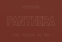 Panthera Education Strip Font Panthera Education Strip Font Poster 1