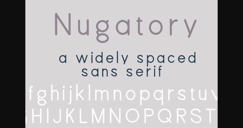 PN Nugatory Font Poster 3