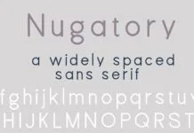PN Nugatory Font PN Nugatory Font Poster 1