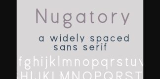 PN Nugatory Font Poster 1