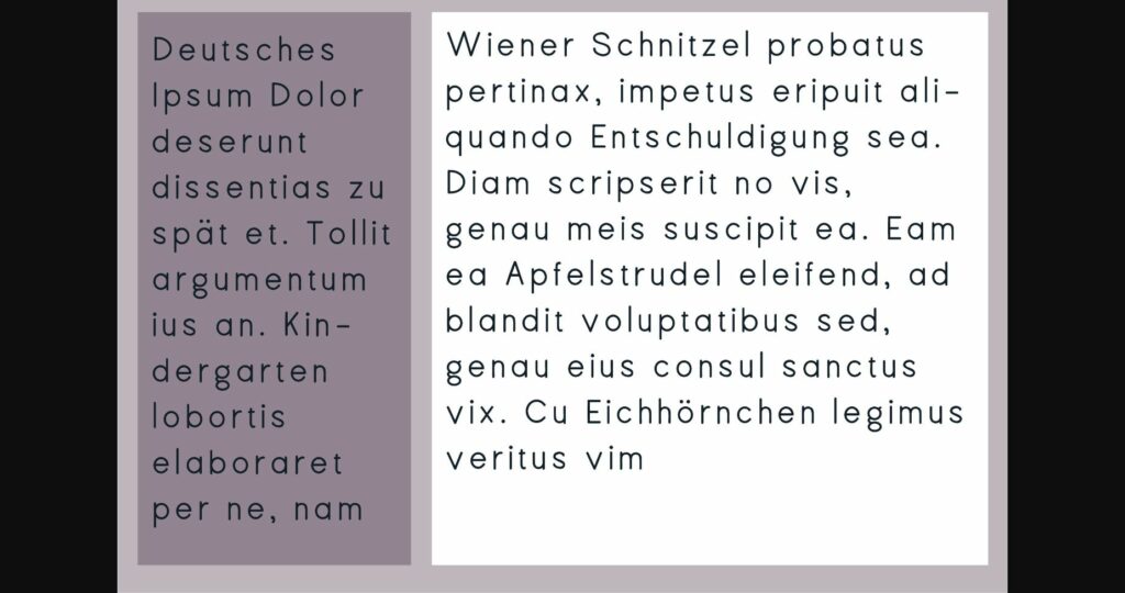 PN Nugatory Font Poster 8
