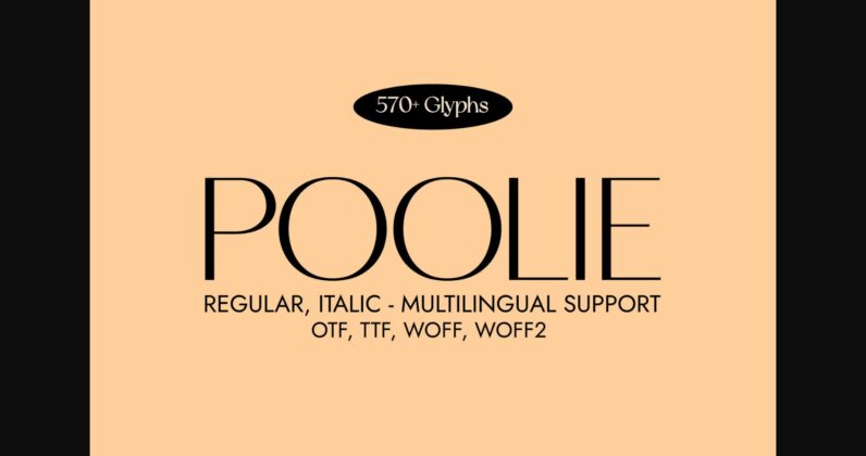 Poolie Font Poster 3