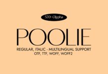 Poolie Font Poster 1