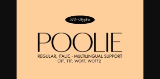 Poolie Font Poster 1