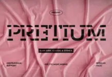 Pretium Font Pretium Font Poster 1