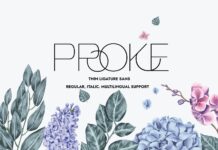 Proke Font Poster 1