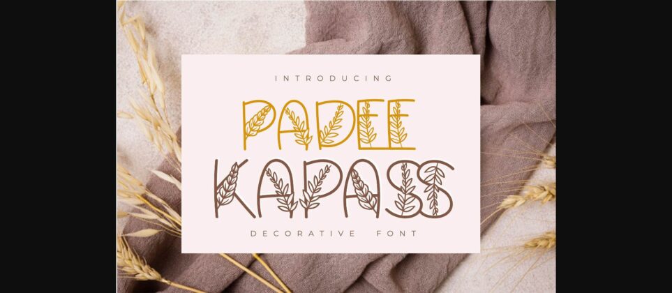Padee Kapass Font Poster 3