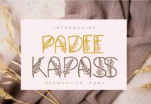 Padee Kapass Font Poster 1