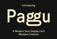 Paggu Font Poster 1