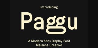 Paggu Font Poster 1