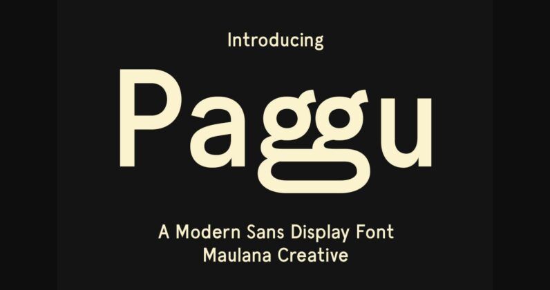 Paggu Font Poster 1