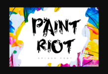 Paint Riot Font Poster 1