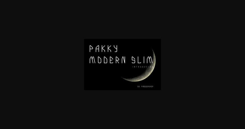 Pakky Modern Slim Font Poster 3