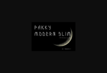 Pakky Modern Slim Font Poster 1