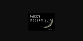 Pakky Modern Slim Font Poster 1