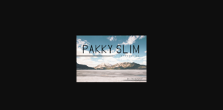Pakky Slim Font Poster 1